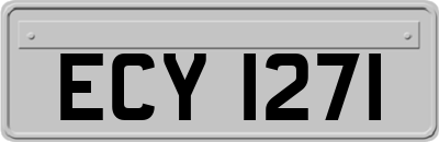 ECY1271