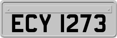 ECY1273