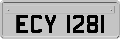 ECY1281