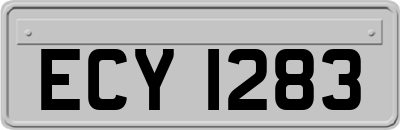 ECY1283