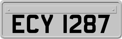 ECY1287