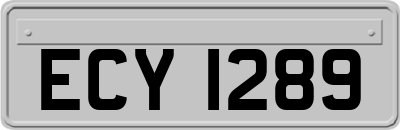ECY1289