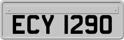 ECY1290