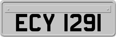 ECY1291