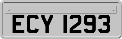 ECY1293
