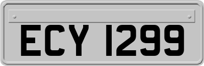 ECY1299