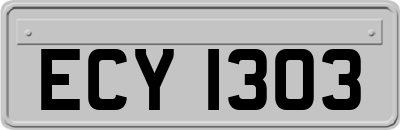 ECY1303