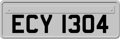 ECY1304