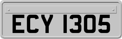 ECY1305
