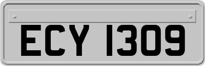 ECY1309