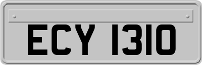 ECY1310