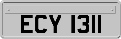 ECY1311