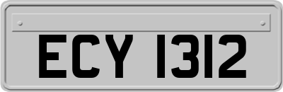 ECY1312