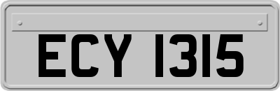 ECY1315