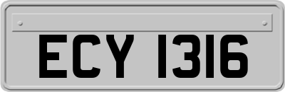 ECY1316