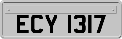ECY1317