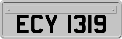ECY1319