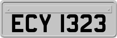 ECY1323