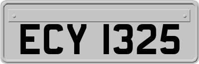 ECY1325