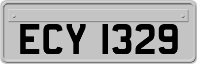 ECY1329