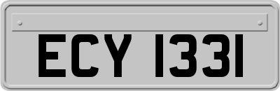 ECY1331