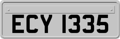 ECY1335