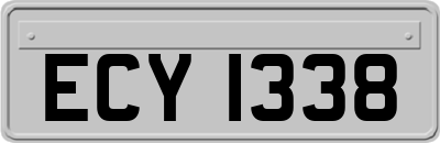 ECY1338