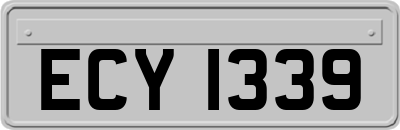 ECY1339
