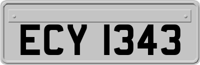 ECY1343