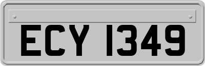 ECY1349