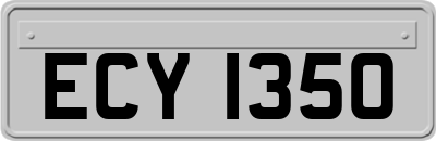 ECY1350