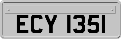 ECY1351