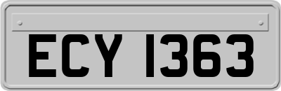 ECY1363