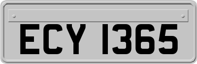 ECY1365