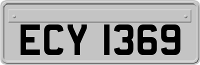 ECY1369