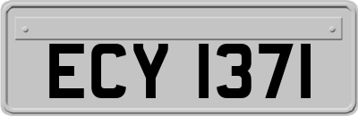 ECY1371