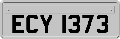 ECY1373
