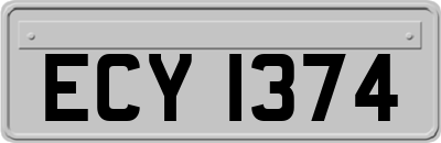 ECY1374