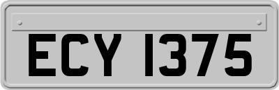 ECY1375