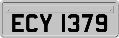 ECY1379