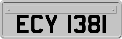 ECY1381