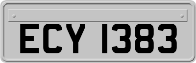 ECY1383