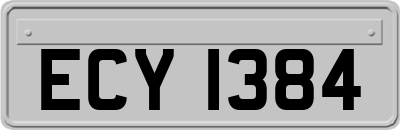 ECY1384