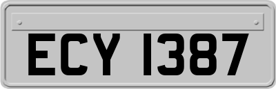 ECY1387