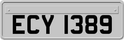 ECY1389