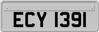 ECY1391