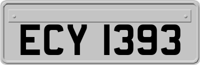 ECY1393