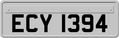 ECY1394