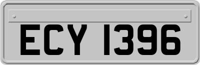 ECY1396