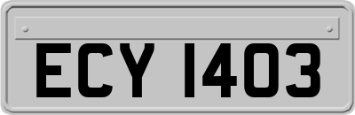 ECY1403